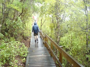 TRIP TO RANGITOTO ISLAND IN AUCKLAND NEW ZEALAND