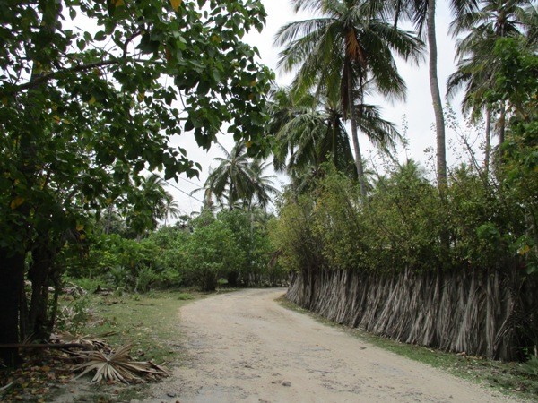 The sandy path along which Vidhya traveled to school every day